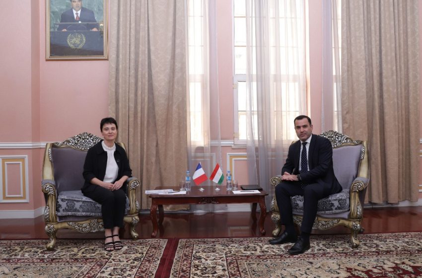  تقديم نسخ من أوراق اعتماد سفير الجمهورية الفرنسية