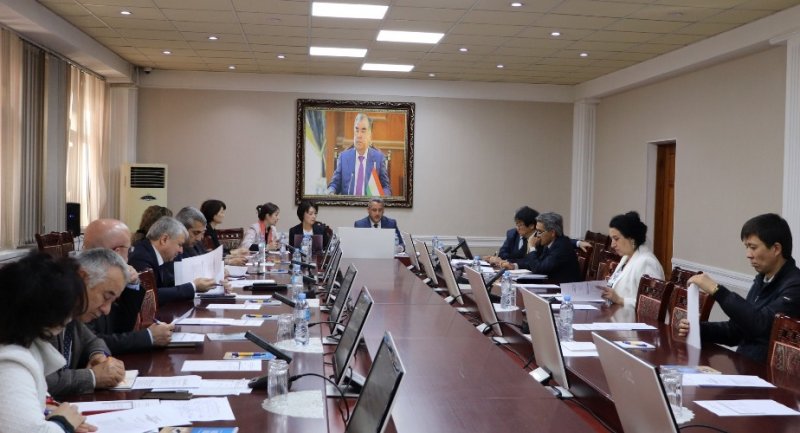  تعمل طاجيكستان واليابان على توسيع التعاون في اتجاه تعزيز القدرة الفكرية لهيئات الدولة