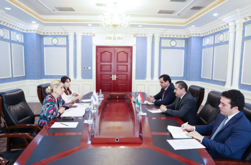  Tajik Deputy Minister of Foreign Affairs meets with the Acting Head of the OSCE Program Office in Dushanbe