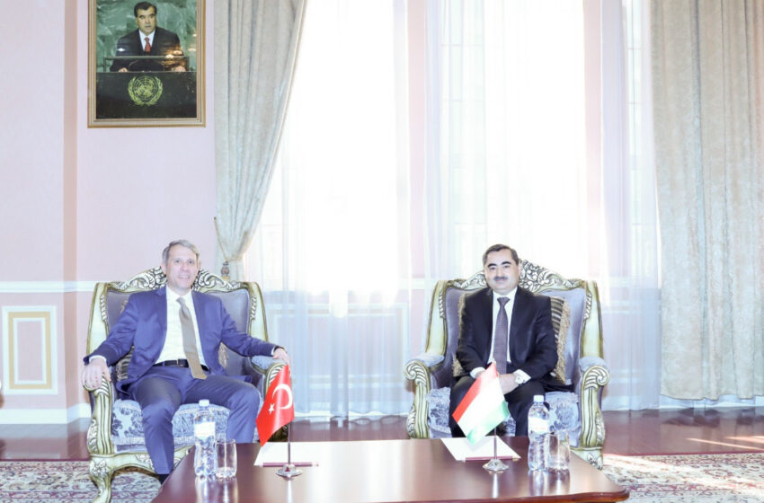  Meeting of the Deputy Foreign Minister with the Ambassador of Turkiye