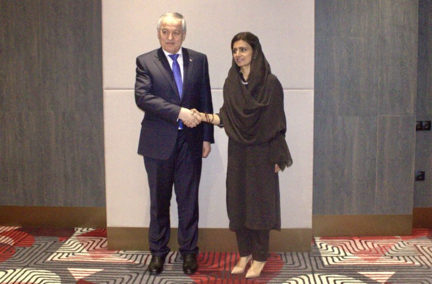 Meeting of the Minister of Foreign Affairs of Tajikistan with the State Minister of Foreign Affairs of Pakistan