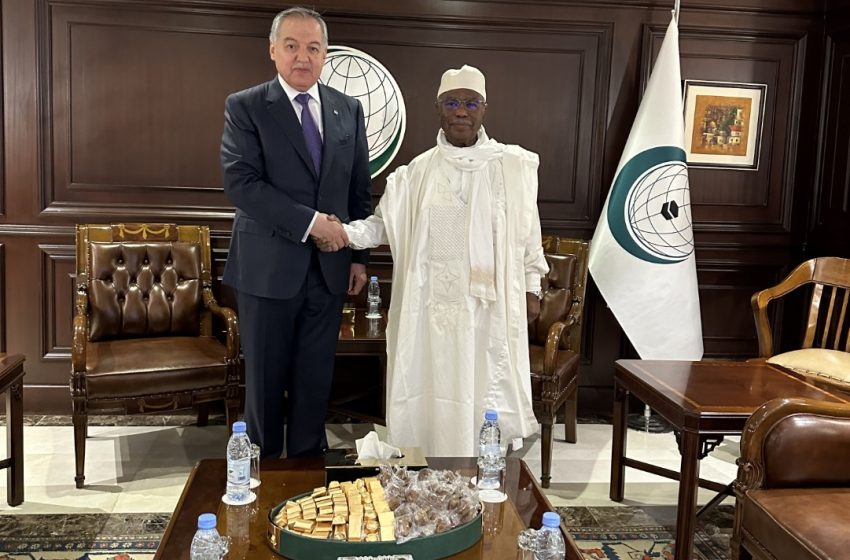  Meeting of the Minister of Foreign Affairs of the Republic of Tajikistan with the Secretary General of the Organization of Islamic Cooperation