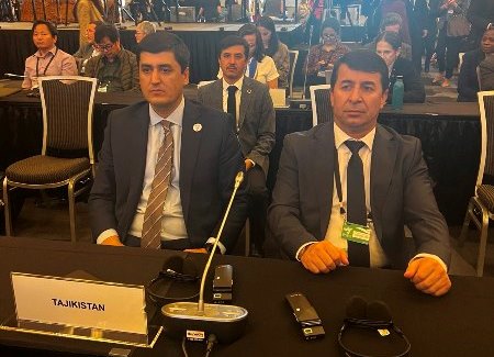هیئت تاجیکستان در هفتمین مجمع صندوق جهانی محیط زیست در کانادا شرکت می کند