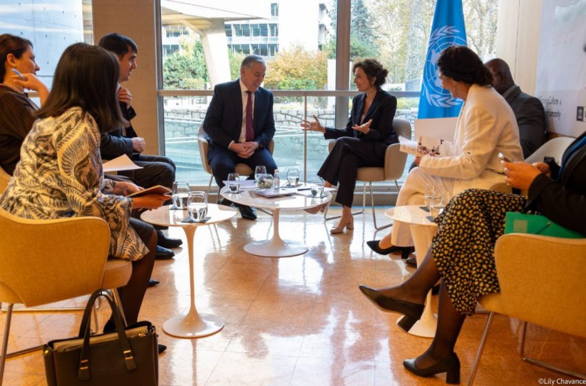  سراج الدین مهرالدین با مدیرکل یونسکو دیدار کرد