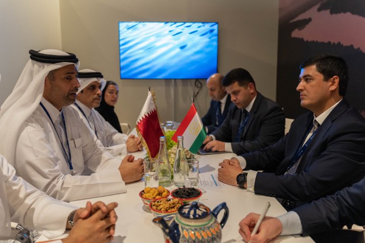 تاجیکستان و قطر همکاری در زمینه تغییرات اقلیم، حفظ حیات وحش و پرورش شاهین را توسعه می دهند