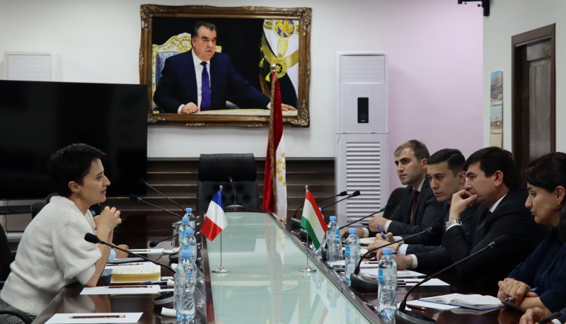 مسئله توسعه همکاری تاجیکستان و فرانسه در زمینه گردشگری بررسی شد