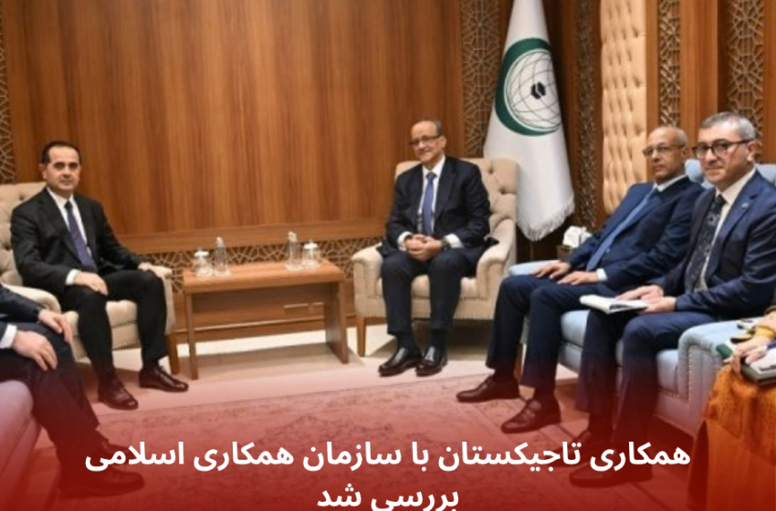  همکاری تاجیکستان با سازمان همکاری اسلامی بررسی شد