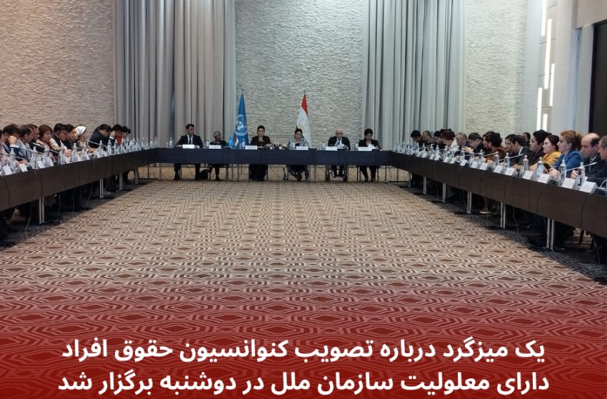  یک میزگرد درباره تصویب کنوانسیون حقوق افراد دارای معلولیت سازمان ملل متحد در دوشنبه برگزار شد