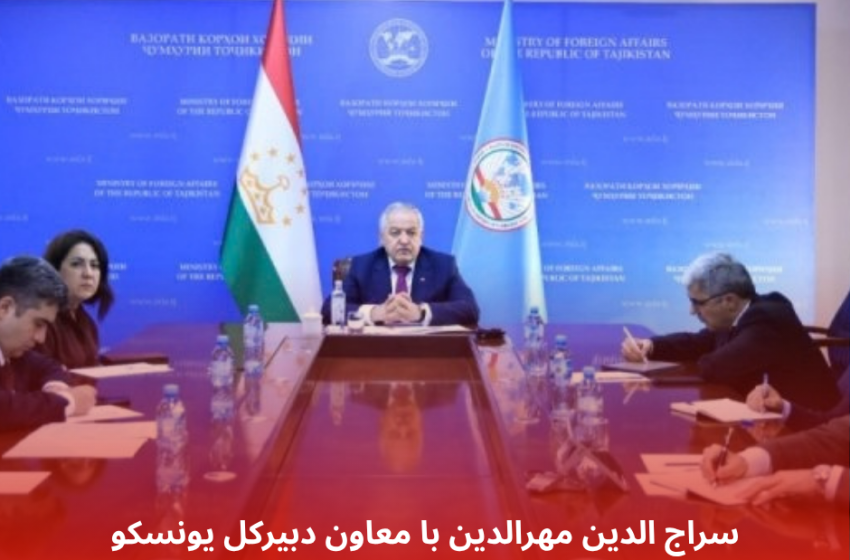 سراج الدین مهرالدین با معاون دبیرکل یونسکو در علوم طبیعی ملاقات کرد