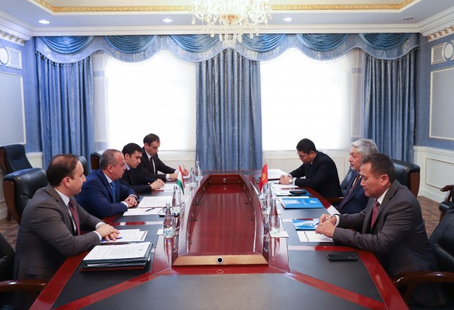  Таджикистан и Кыргызстан обсудили двустороннее сотрудничество