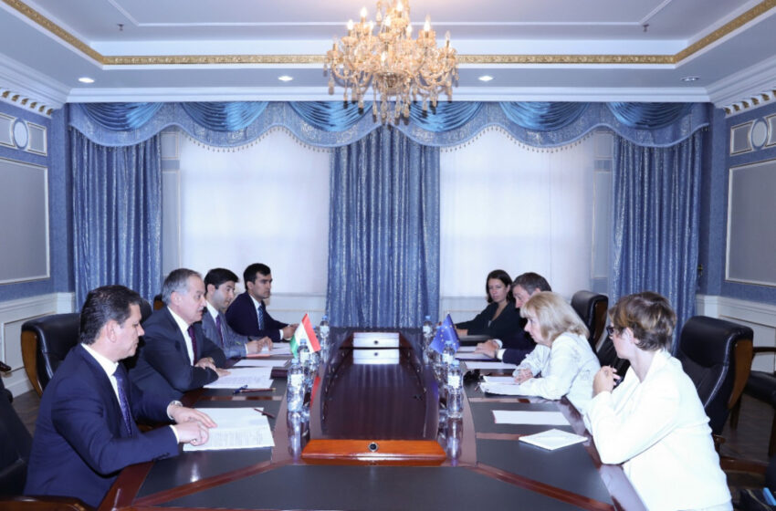  Встреча Министра иностранных дел Таджикистана со Специальным представителем Европейского Союза по Центральной Азии