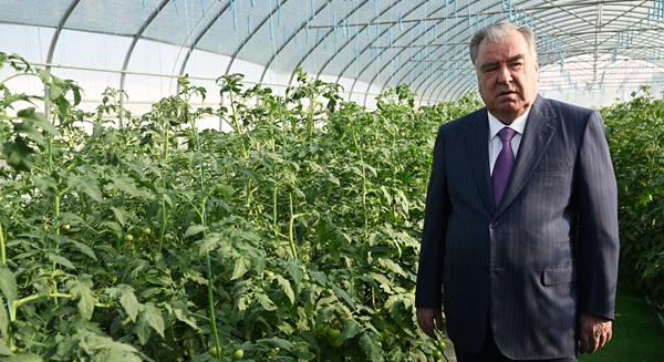  Открытие теплицы в Рушанском районе