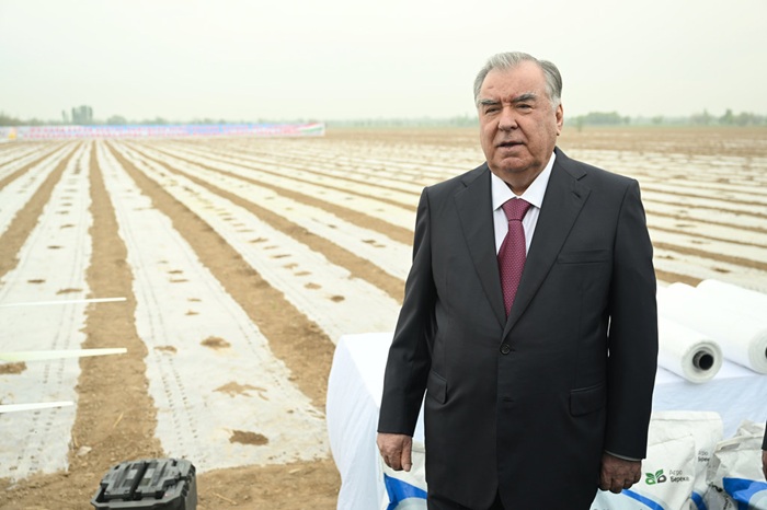  Начало посева хлопка на 10 га земли дехканского хозяйства «Мирхонд» и посещение выставки сельскохозяйственной продукции в Матчинском районе