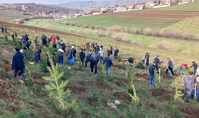  Акция по посадке деревьев в Душанбе объединила дипломатический корпус 27 государств