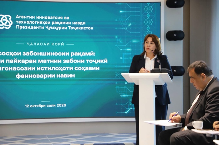  Таджикский язык в цифровом пространстве: от текстового корпуса к единой терминологии