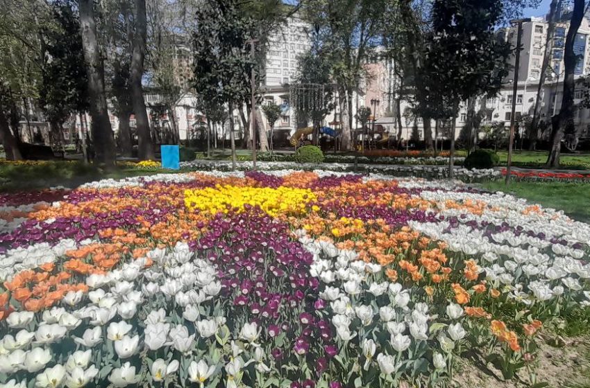 Душанбе шаҳри гулҳо: Суратгузориш аз Боғи Алишери Навоӣ
